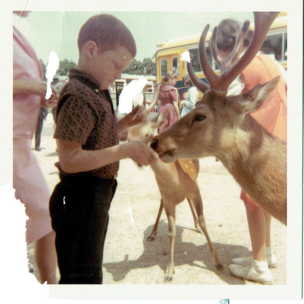 Jim smiling next to a deer in a peaceful Japanese park with trees and greenery in the background, conveying a calm and joyful atmosphere